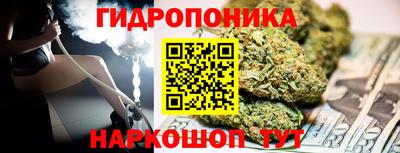 apvp Рузаевка