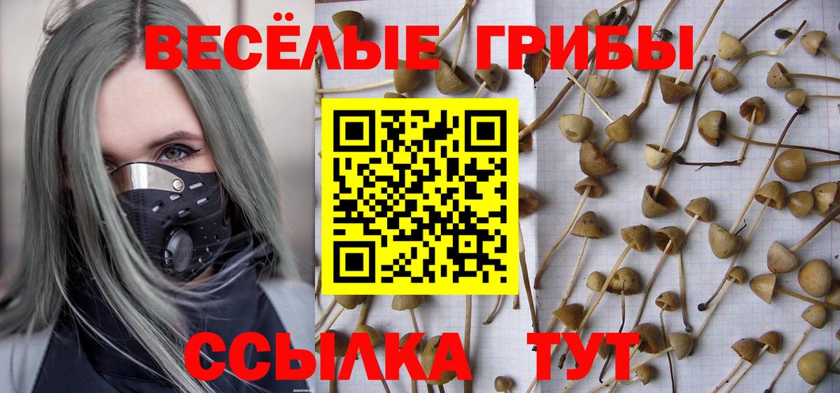Каннабис  Сургут  Alpha-PVP СОЛЬ   МЕФ кристаллы  ГАШИШ  НБОМе  Вход с VPN  Cocaine 