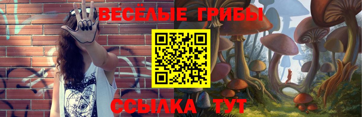 Псилоцибиновые грибы мицелий  Вход с VPN  Сургут 